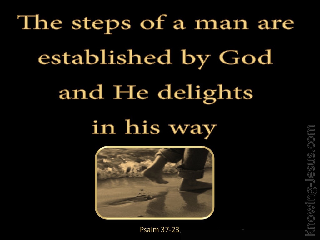 Psalm 37:23 The Lord Establishes The Steps Of A Man (black)